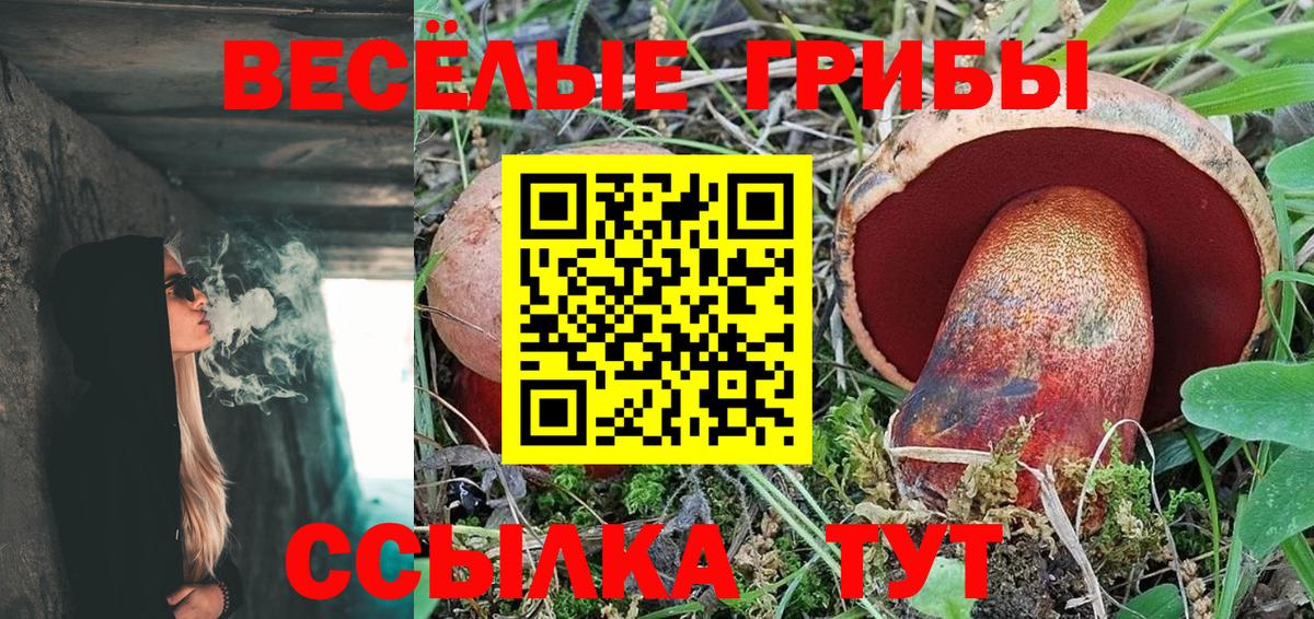 Галлюциногенные грибы MAGIC MUSHROOMS  Псилоцибиновые грибы Magic Shrooms  где продают наркотики  Вход с VPN  Сланцы 