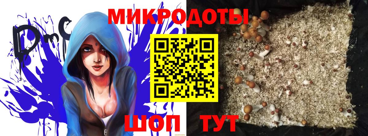 Галлюциногенные грибы ЛСД Сланцы